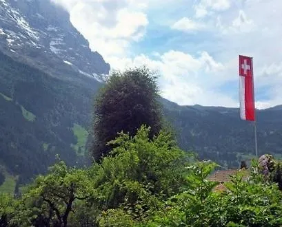 Pfaffenstoeckli Apartment Grindelwald Exterior photo